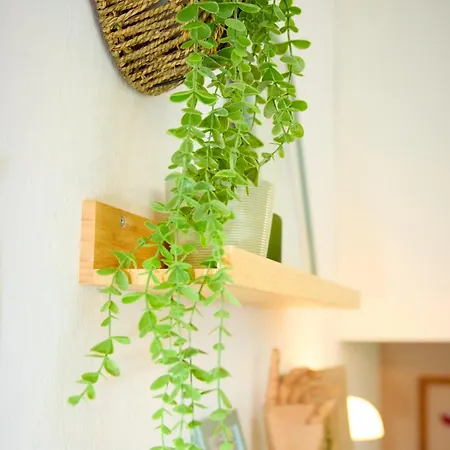 Casa Miu Miu Lägenhet